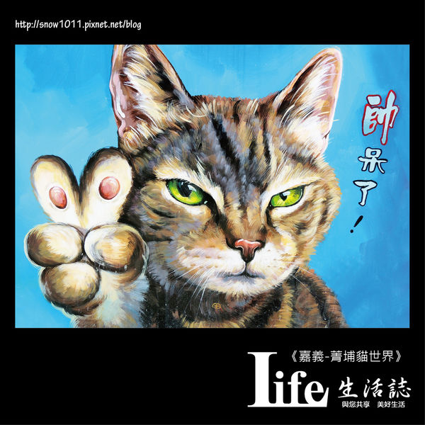 菁埔貓世界-32.jpg 菁埔貓世界-32.jpg