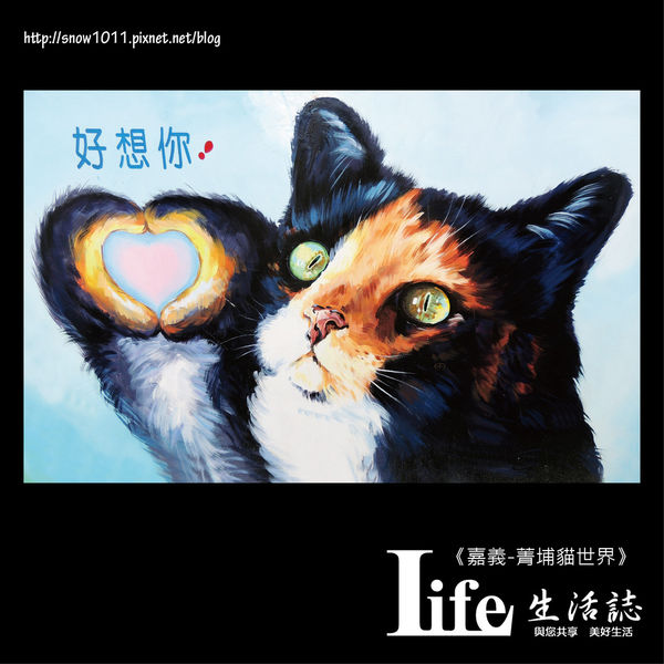 菁埔貓世界-27.jpg 菁埔貓世界-27.jpg