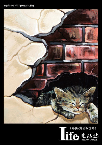 菁埔貓世界-17.jpg 菁埔貓世界-17.jpg