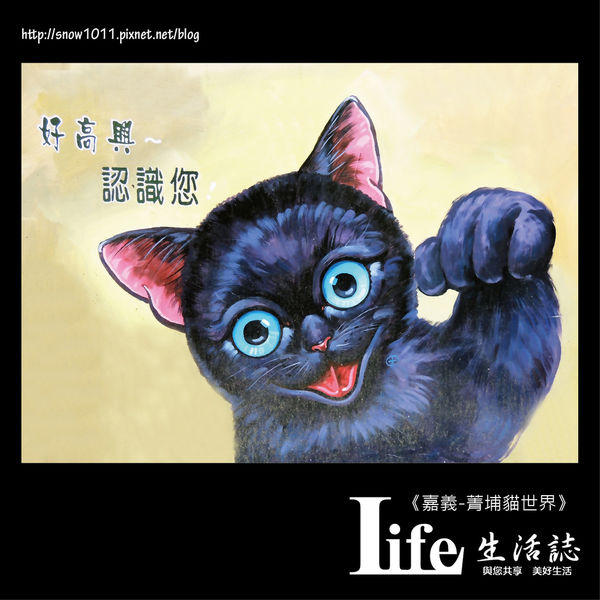 菁埔貓世界-19.jpg 菁埔貓世界-19.jpg