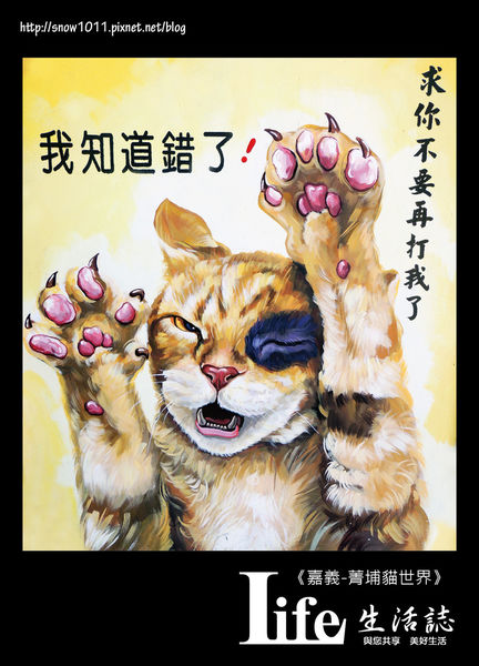 菁埔貓世界-37.jpg 菁埔貓世界-37.jpg