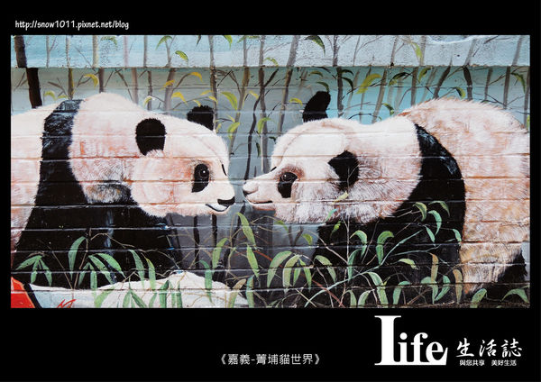 菁埔貓世界-12.jpg 菁埔貓世界-12.jpg