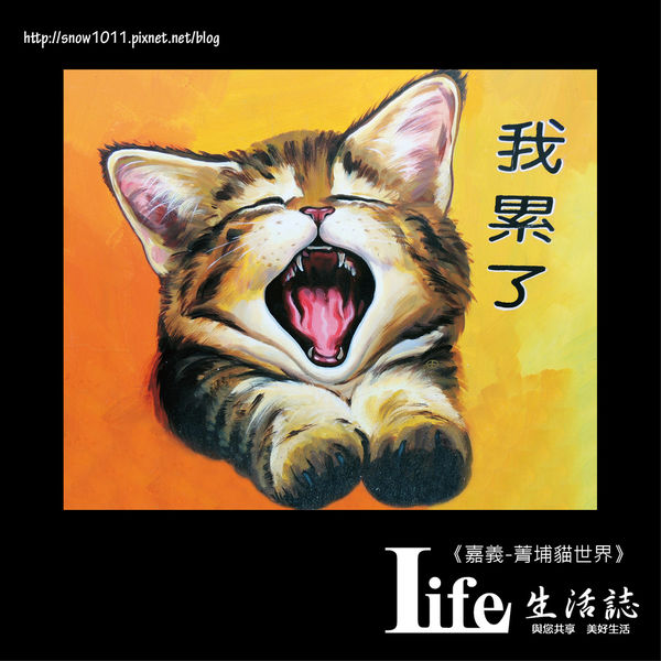 菁埔貓世界-24.jpg 菁埔貓世界-24.jpg