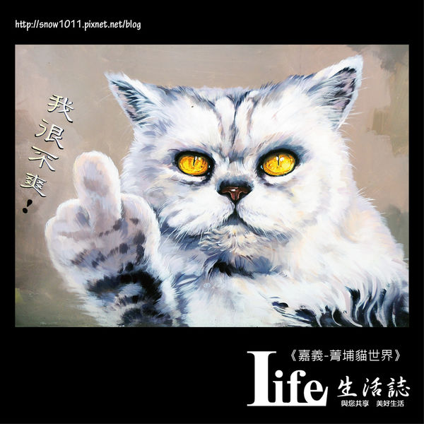 菁埔貓世界-29.jpg 菁埔貓世界-29.jpg