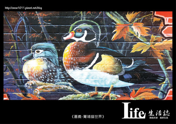 菁埔貓世界-14.jpg 菁埔貓世界-14.jpg