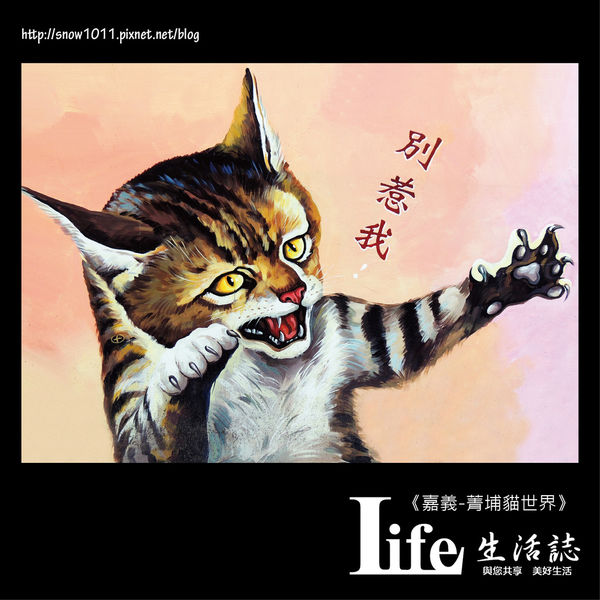 菁埔貓世界-20.jpg 菁埔貓世界-20.jpg