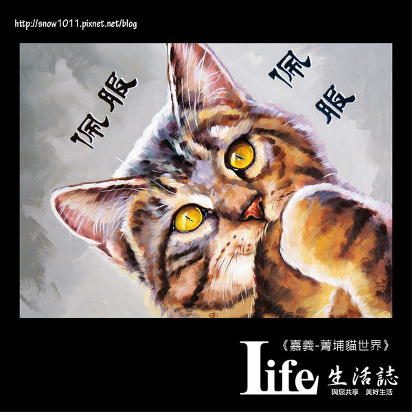 菁埔貓世界-30.jpg 菁埔貓世界-30.jpg