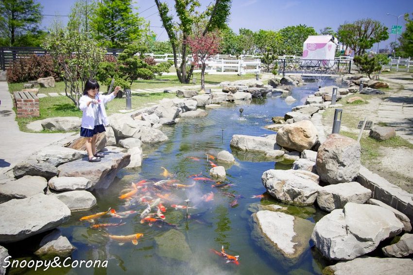 【玩樂.雲林】崙背景點/千巧谷牛樂園牧場~免門票親子景點,萌萌乳牛公仔隨你拍,還能餵牛餵魚餵鴨