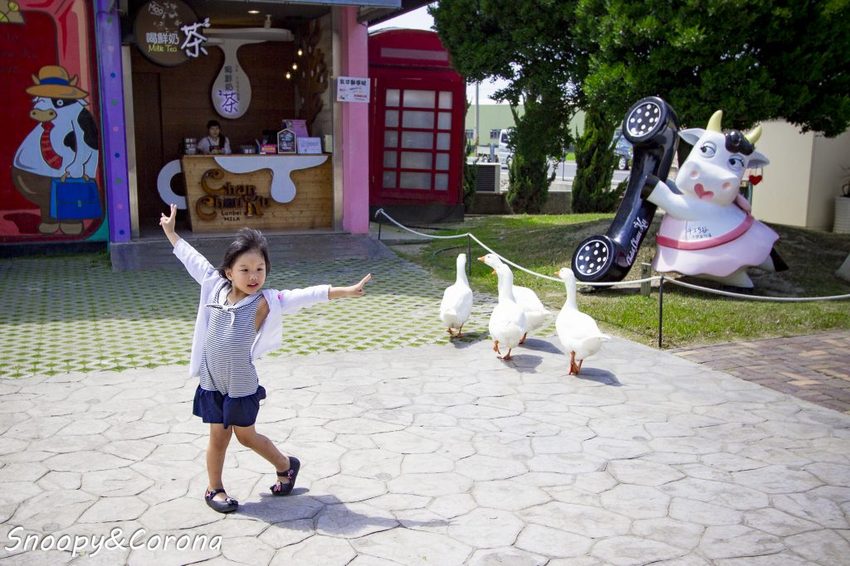 【玩樂.雲林】崙背景點/千巧谷牛樂園牧場~免門票親子景點,萌萌乳牛公仔隨你拍,還能餵牛餵魚餵鴨