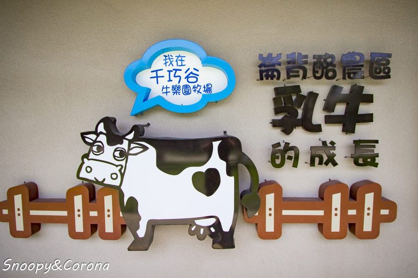 【玩樂.雲林】崙背景點/千巧谷牛樂園牧場~免門票親子景點,萌萌乳牛公仔隨你拍,還能餵牛餵魚餵鴨