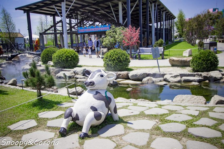 【玩樂.雲林】崙背景點/千巧谷牛樂園牧場~免門票親子景點,萌萌乳牛公仔隨你拍,還能餵牛餵魚餵鴨