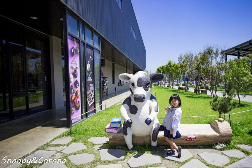 【玩樂.雲林】崙背景點/千巧谷牛樂園牧場~免門票親子景點,萌萌乳牛公仔隨你拍,還能餵牛餵魚餵鴨