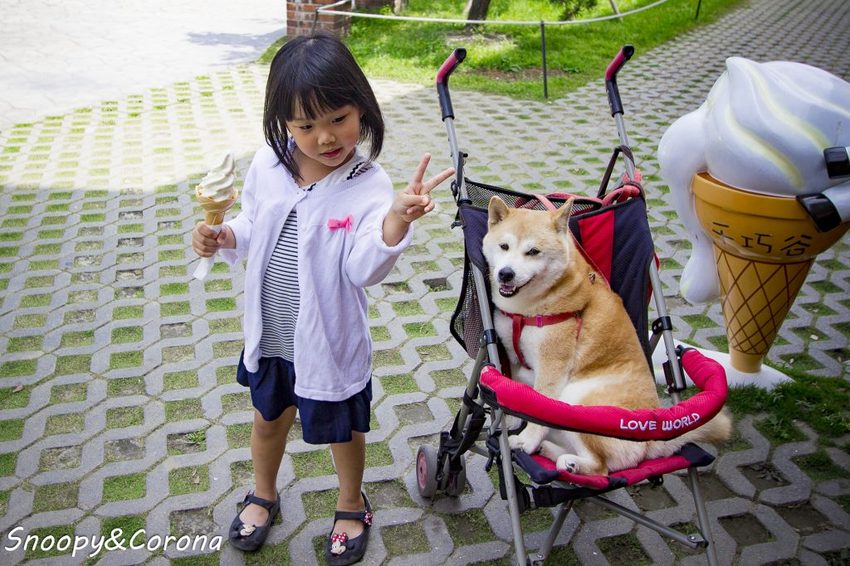 【玩樂.雲林】崙背景點/千巧谷牛樂園牧場~免門票親子景點,萌萌乳牛公仔隨你拍,還能餵牛餵魚餵鴨
