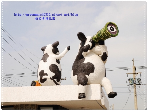 P8880608 (620x465).jpg P8880608 (620x465).jpg