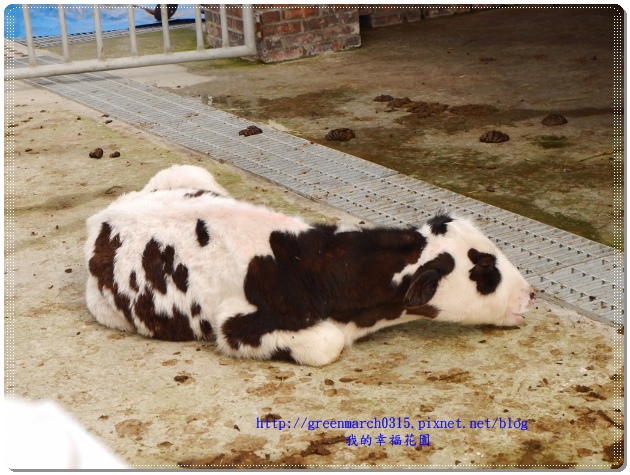 P8880626 (620x465).jpg P8880626 (620x465).jpg