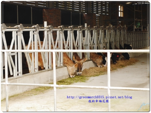 P8880625 (620x465).jpg P8880625 (620x465).jpg