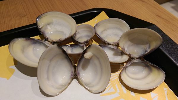 IMAG0289.jpg IMAG0289.jpg