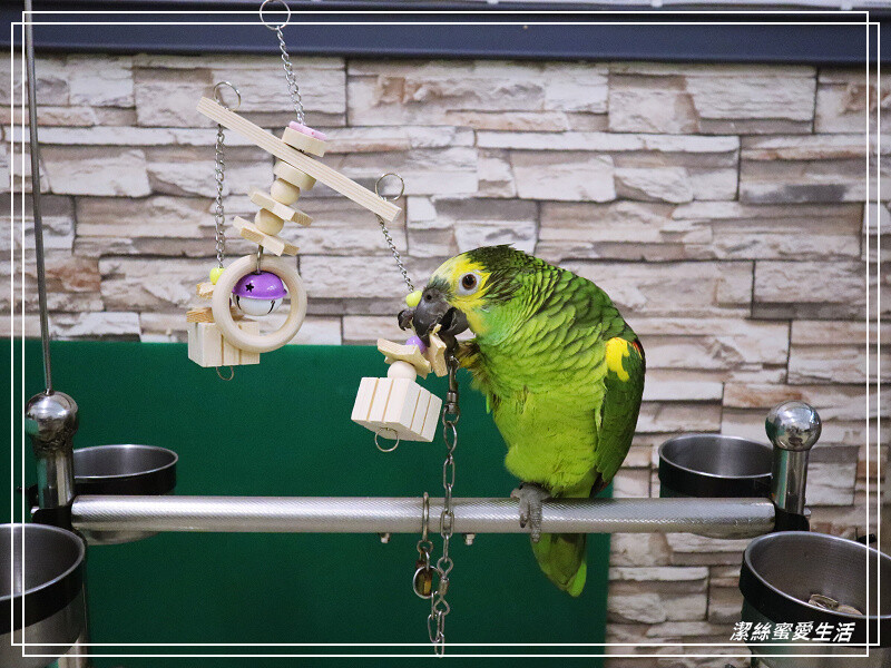 漁都日式料理-桃園龜山/價格實惠.親切家庭日式料理