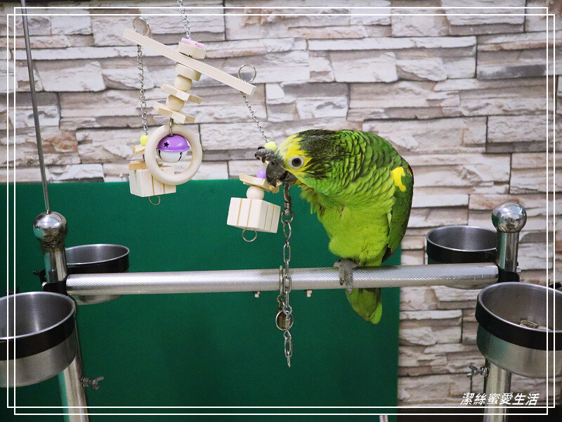 漁都日式料理-桃園龜山/價格實惠.親切家庭日式料理