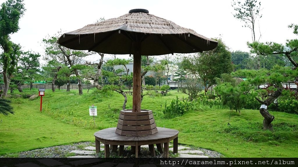 DSC03891.jpg DSC03891.jpg