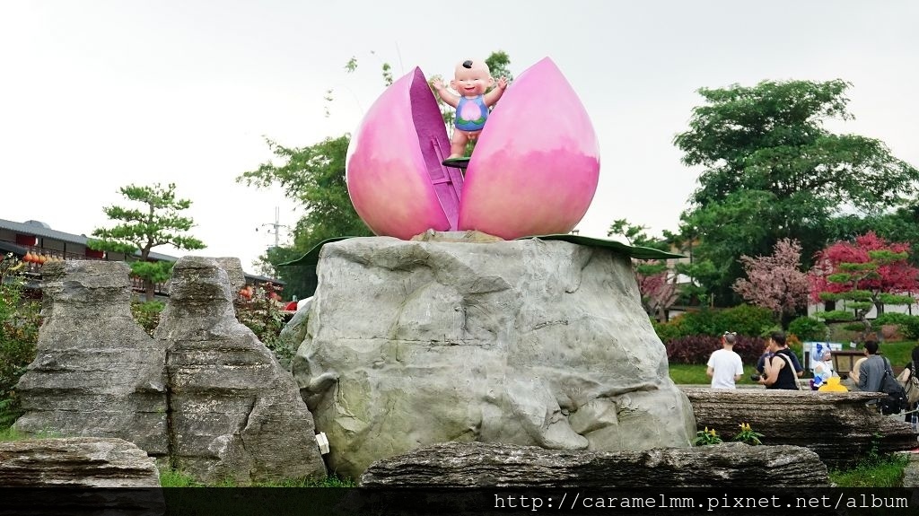 DSC03898.jpg DSC03898.jpg