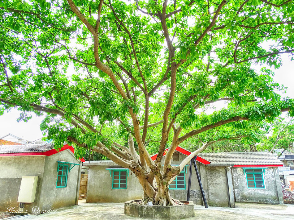 中壢景點-馬祖新村 (38).jpg