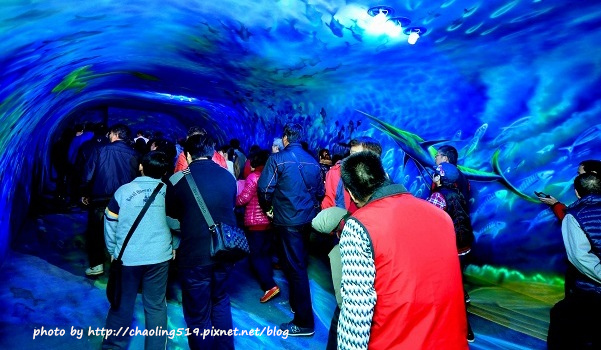 祝魚大3D彩繪-12.JPG - 2016遊古蹟.展館 祝魚大3D彩繪-12.JPG - 2016遊古蹟.展館