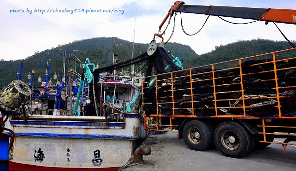 祝魚大3D彩繪-7.JPG - 2016遊古蹟.展館 祝魚大3D彩繪-7.JPG - 2016遊古蹟.展館