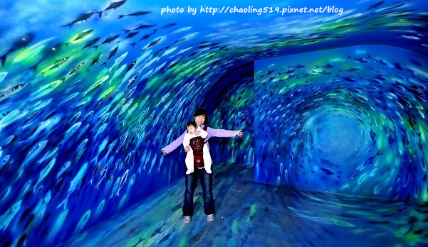 祝魚大3D彩繪-33.JPG - 2016遊古蹟.展館 祝魚大3D彩繪-33.JPG - 2016遊古蹟.展館