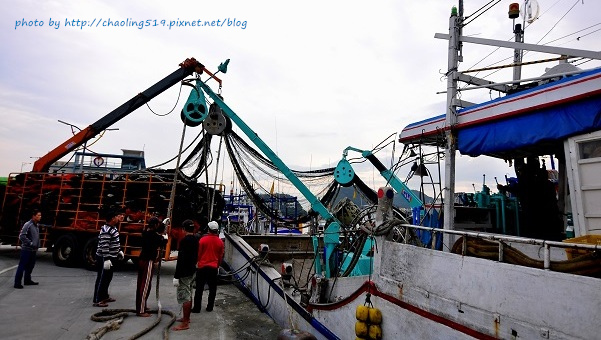 祝魚大3D彩繪-6.JPG - 2016遊古蹟.展館 祝魚大3D彩繪-6.JPG - 2016遊古蹟.展館