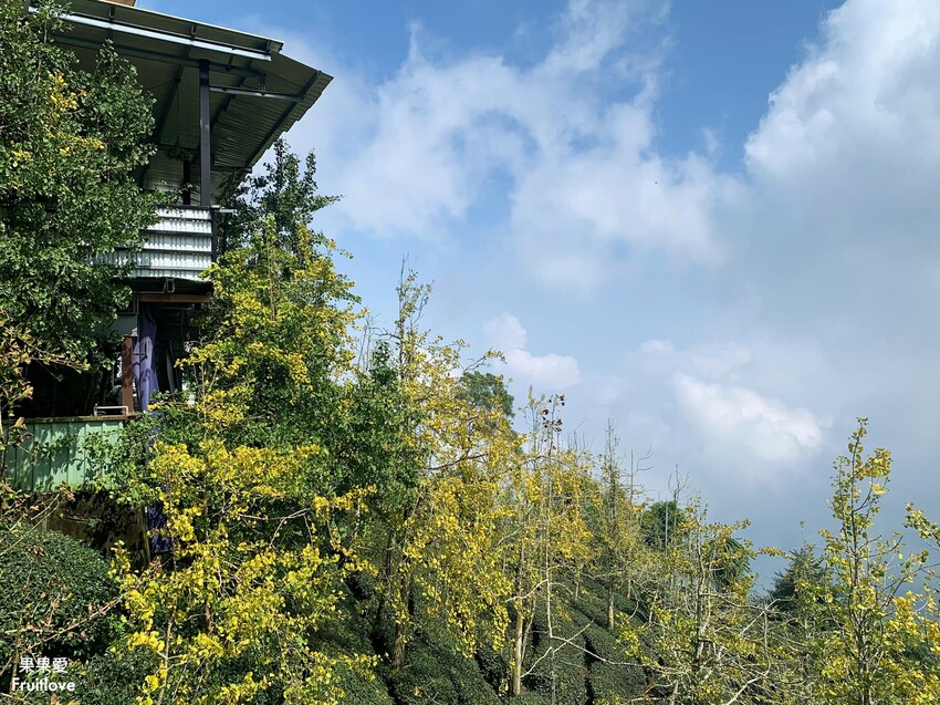 不愧是金牌認證的巧克力，創造許多意想不到的新風味