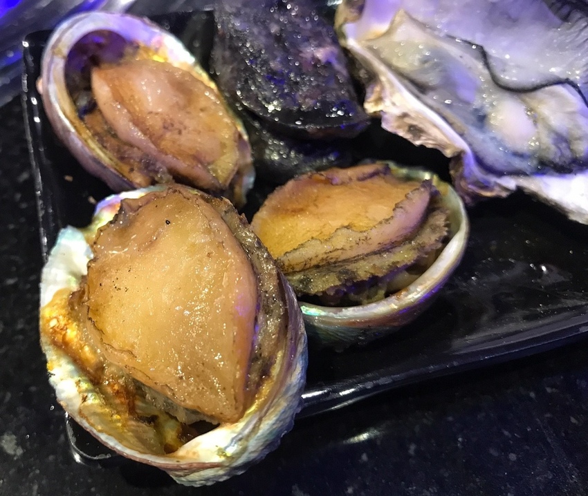 20190224 #2_190224_0030.jpg