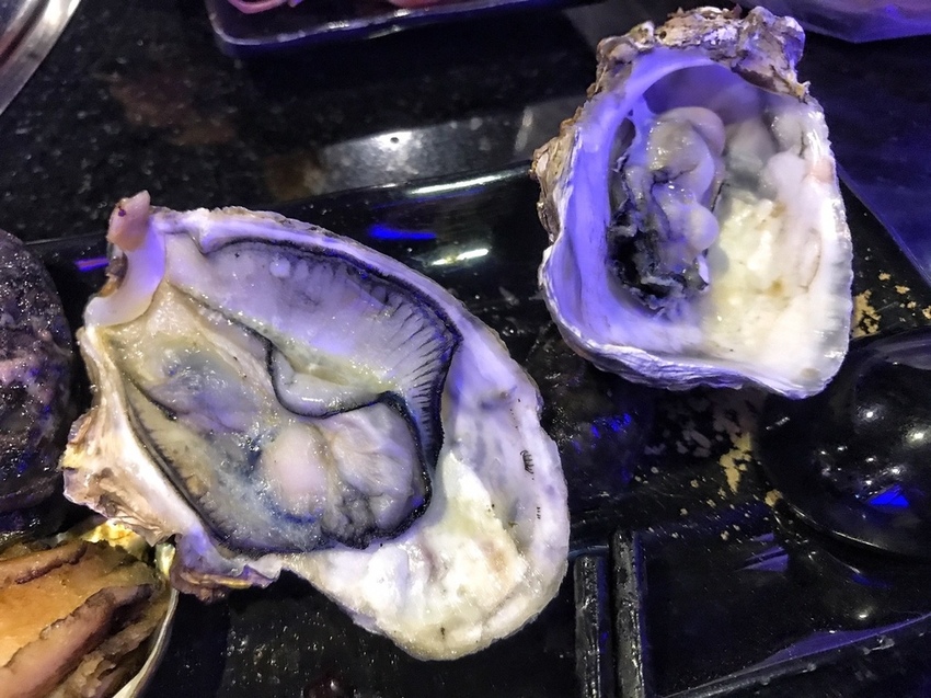 20190224 #2_190224_0029.jpg