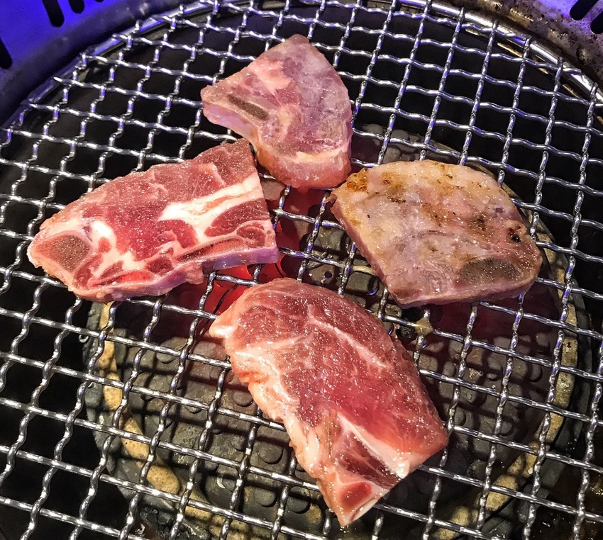 20190224 #2_190224_0036.jpg