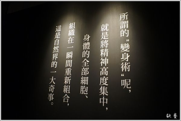 17 (1)a.JPG 17 (1)a.JPG