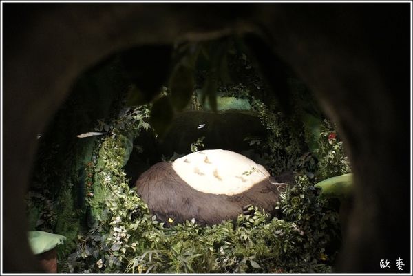 15 (13)a.JPG 15 (13)a.JPG