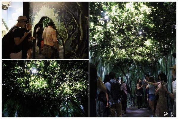 15 (4)a.jpg 15 (4)a.jpg