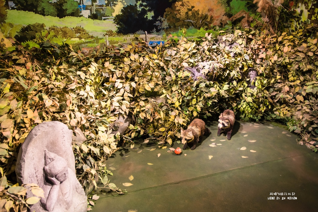 DSC_9689.jpg DSC_9689.jpg