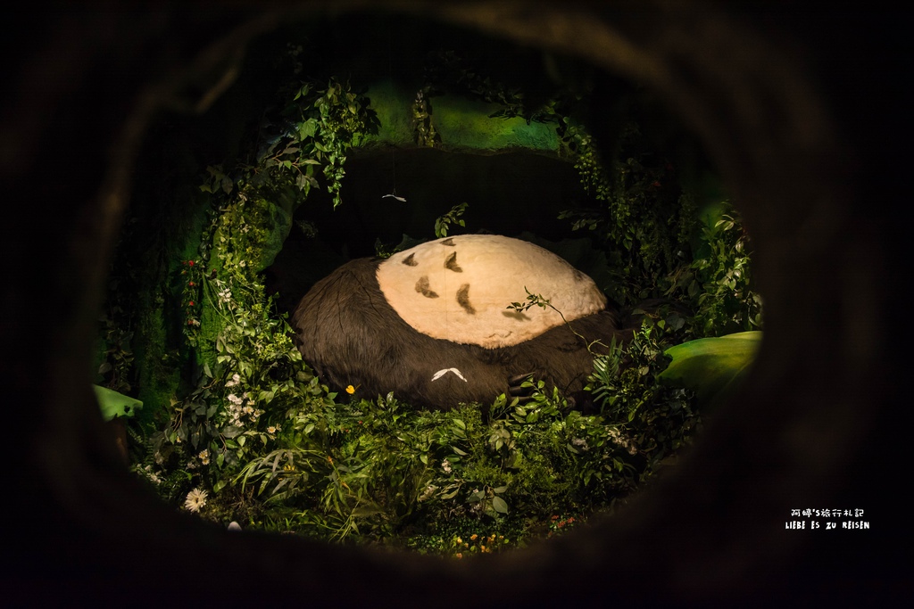 DSC_9676.jpg DSC_9676.jpg