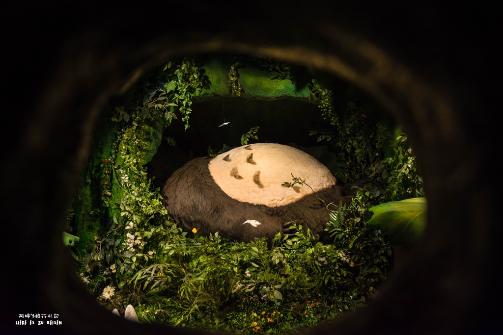 DSC_9677.jpg DSC_9677.jpg