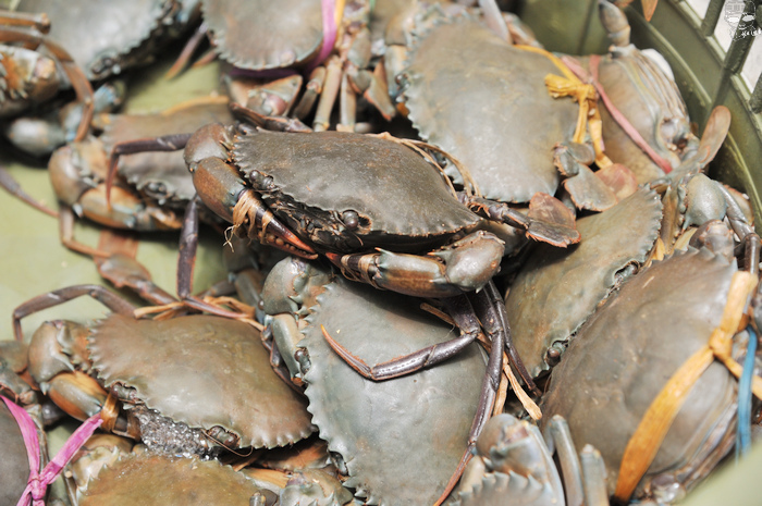 DSC_5014_01.jpg DSC_5014_01.jpg