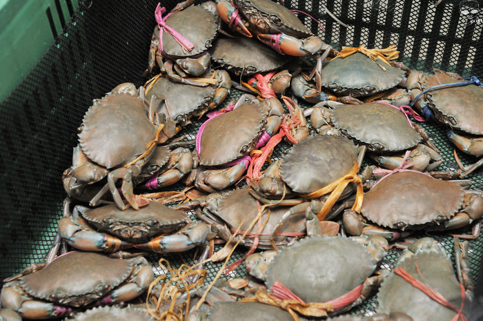 DSC_5013_01.jpg DSC_5013_01.jpg