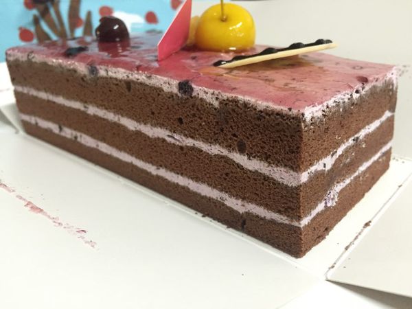 [台中糖村] 低脂野莓巧克力蛋糕 清爽美味的下午茶