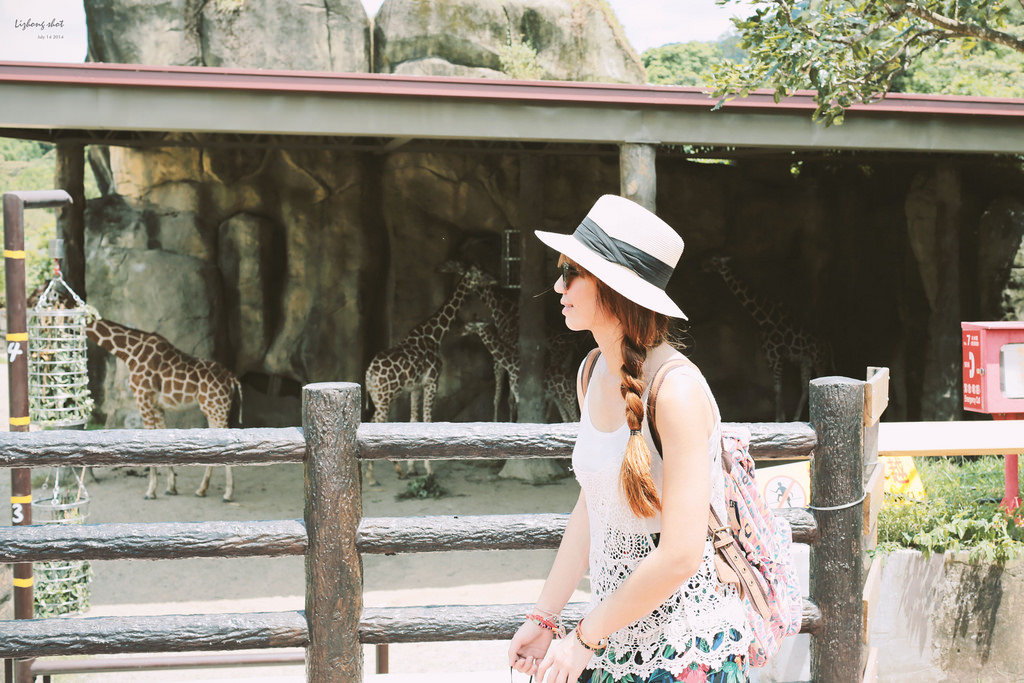 滋潤心靈的木柵動物園小記#3