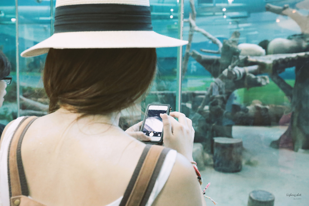 滋潤心靈的木柵動物園小記#3