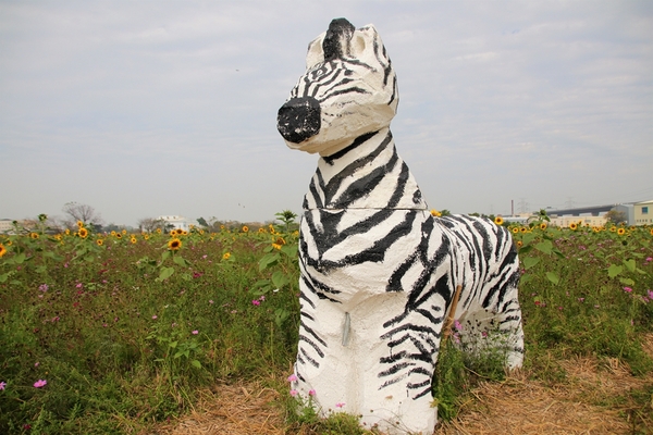 和美交流道花海:【彰化和美景點】2018向日葵及波斯菊花海~花田喜事幸福旺旺活動到2/20止