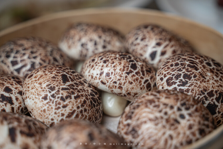 台北美食｜台北美之宴會館～，尾牙聚餐免續攤這裡就有專屬獨立KTV大包廂，士林在地台菜餐廳推薦、捷運劍潭