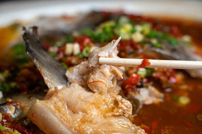 台北美食｜台北美之宴會館～，尾牙聚餐免續攤這裡就有專屬獨立KTV大包廂，士林在地台菜餐廳推薦、捷運劍潭