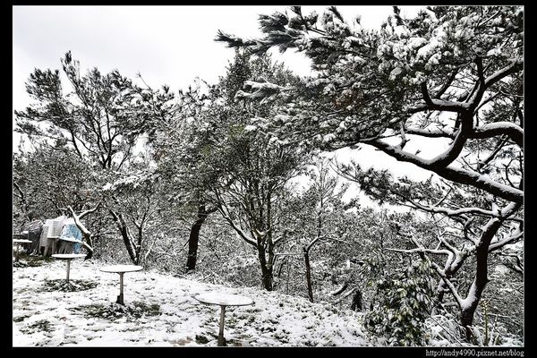 20150124汐止五指山賞雪23