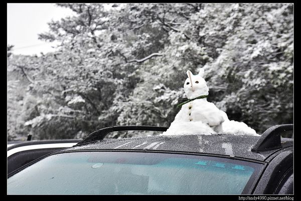 20150124汐止五指山賞雪9